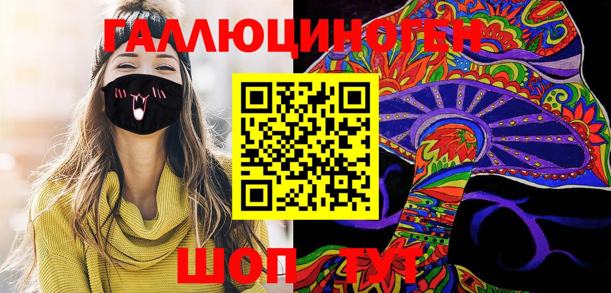 Псилоцибиновые грибы Cubensis Хасавюрт