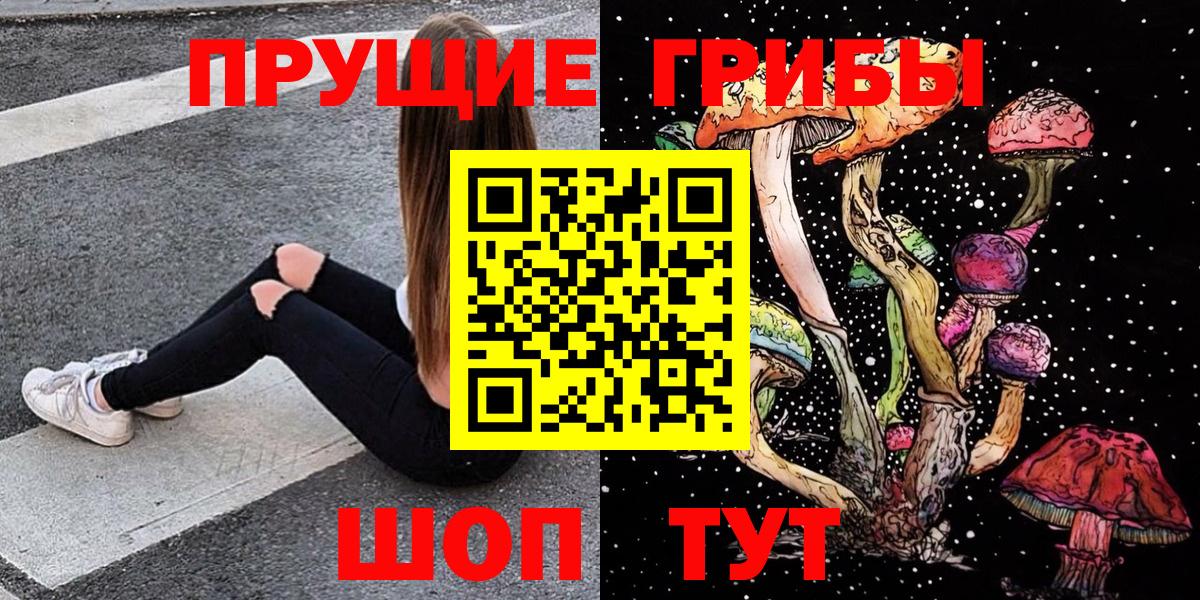 Хасавюрт  Галлюциногенные грибы Psilocybine cubensis  Вход с VPN 